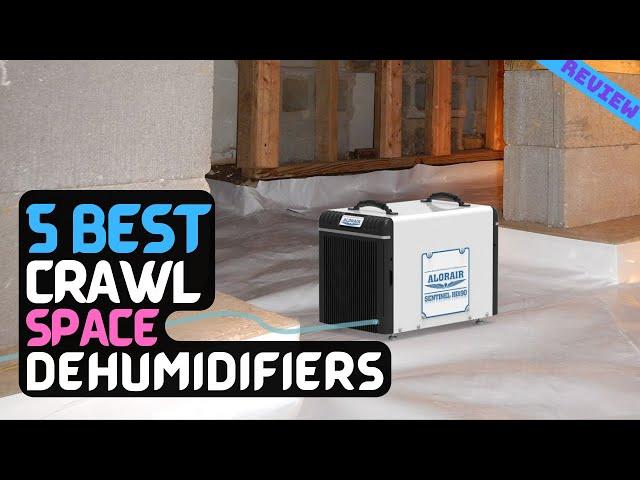 Best Crawl Space Dehumidifier of 2022 | The 5 Best Dehumidifiers Review