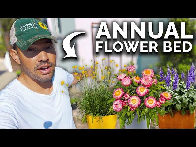 Planting an Annual Flower Bed? Am I @gardenanswer Now?