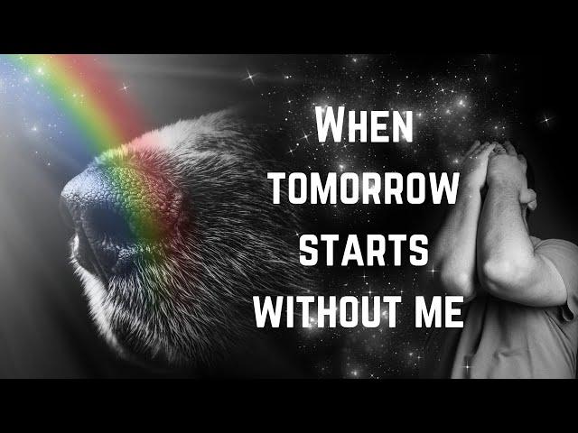 When tomorrow starts without me, Pet loss poem for dog lovers, Pet memorial, Rainbow bridge, Tribute