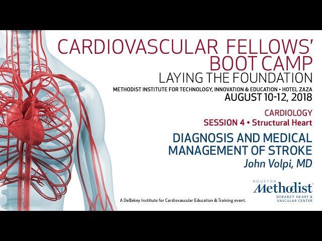 Diagnosis and Medical Management of Stroke (John Volpi, MD)