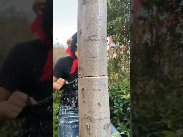 Oddly satisfying Cutting Tree 