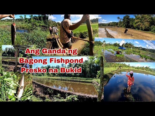 Gawa na Yung Fishpond Ang Ganda dito Preskong Bukid Adventure