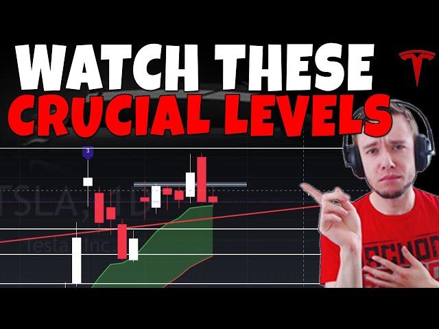 TESLA Stock - Watch For THESE Crucial Levels!