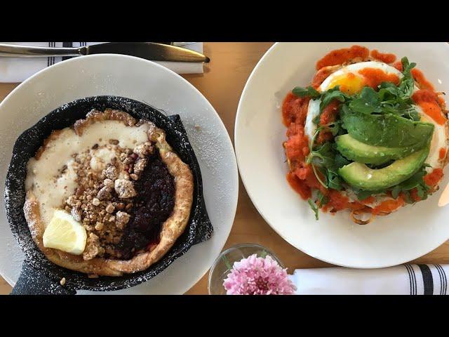 Delicious new finds for foodies in Bellingham - KING 5 Evening