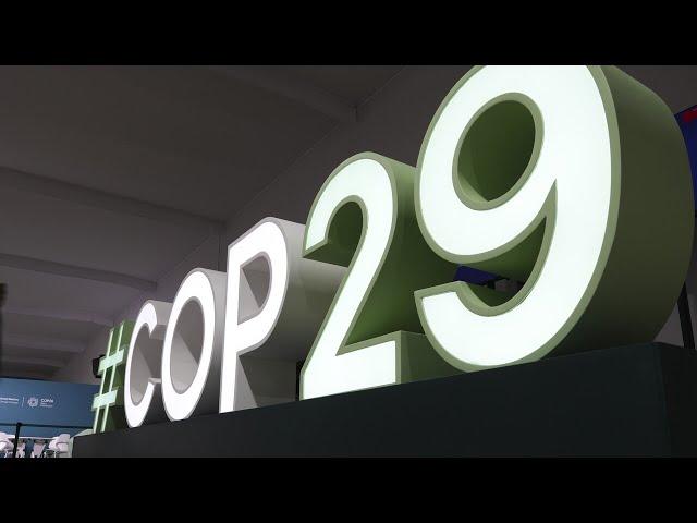 UN climate summits 'no longer fit for purpose', says key experts