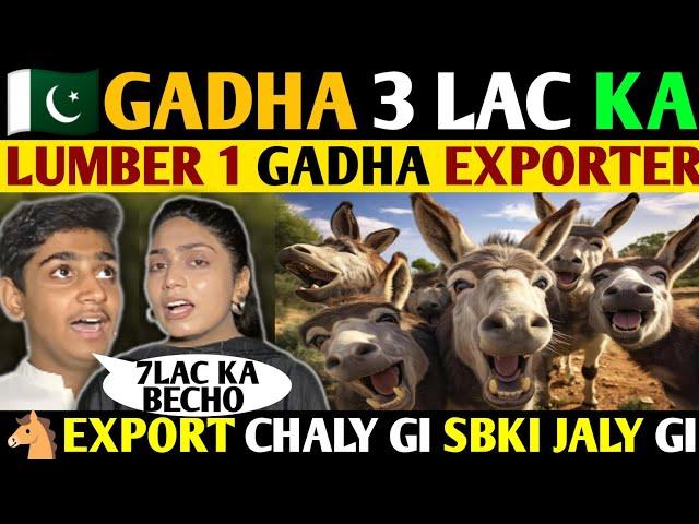 PAKI GADHA 3 LAKH KA-LUMBER 1 GADHA EXPORTER-EXPORT CHALY GE SBKI JALU GE- PUBLIC REACTION