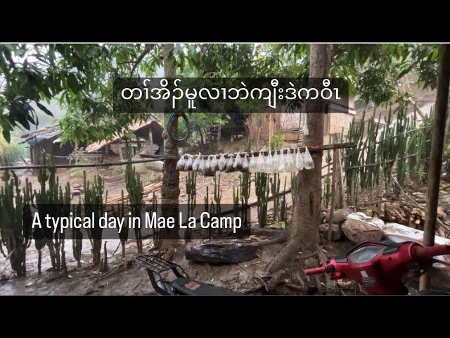 A Typical Day in Mae La Refugee Camp | 2024 Vlog.