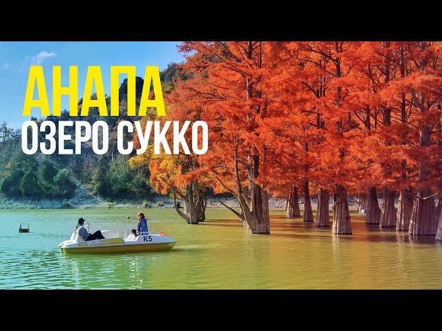 #АНАПА - КИПАРИСОВОЕ ОЗЕРО в СУККО - ЗАПРЕТ и ШТРАФЫ. ВИД СВЕРХУ. ЦЕНЫ КАК НА МОРЕ! ОКТЯБРЬ 2021