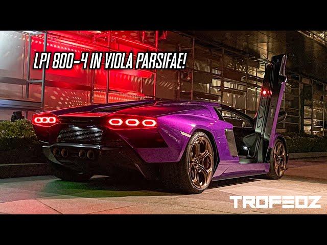 Viola Parsifae Lamborghini Countach LPI 800-4 Debut & Lamborghini Revuelto Glimpse!