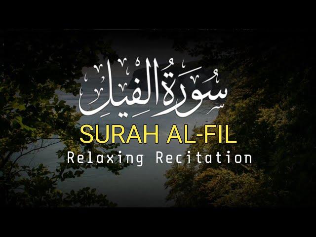 Beautiful Recitation ٱلفِيل Surah Al-Fil  7 Times | Abu Abdullah Muhammad Umar