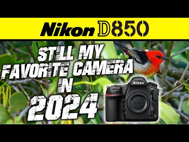 Nikon D850 | Still My Favorite Camera in 2024!