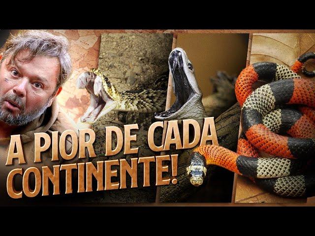 AS SERPENTES MAIS PEÇONHENTAS DE CADA CONTINENTE! | RICHARD RASMUSSEN