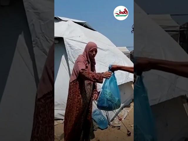 بتمويل مغربي.. توزيع 500 سلة من الخضار على الأسر المحتاجة بقطاع غزة