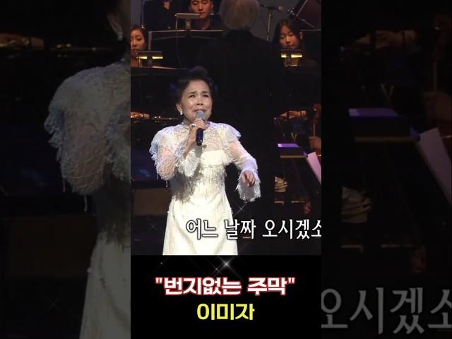 이미자 #번지없는 주막 #트롯트인기가요 #대중가요 #옛날노래