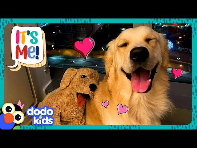 Pup Gets A GIANT Surprise That Looks Just Like Him! | Dodo Kids | It's Me!