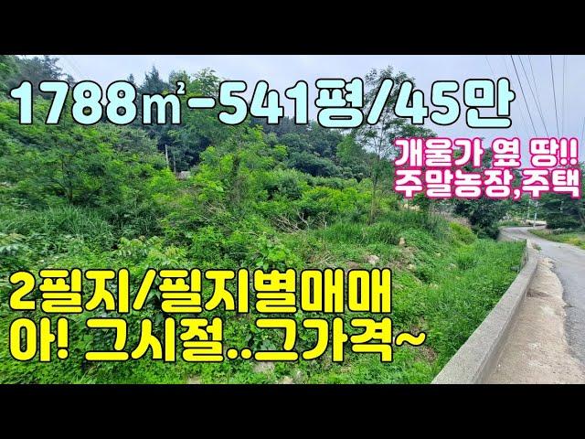 "만세TV양평부동산" / 추가인하..그때 그 가격으로..평43만원으로.. / 월산리 자연지형 / 299평 - 241평 2필지 급매 / 양평전원주택,양평토지,급매물전문,양평