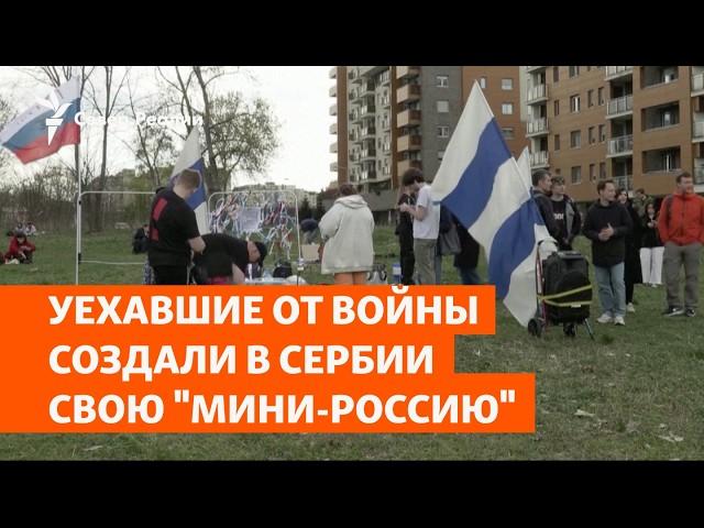 Уехавшие от войны создали в Сербии свою "мини-Россию" | Север.Реалии