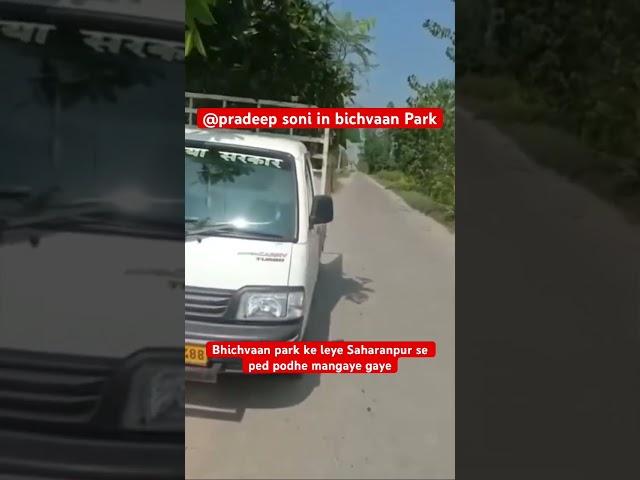 @ pradeep soni in bichvaan Park subscribe mychanal pradeep soni golden boy