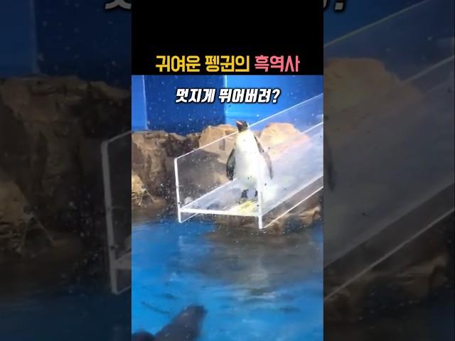 귀여운 펭귄의 흑역사 #동물 #펭귄 #아쿠아리움