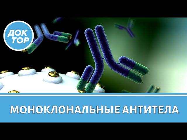 При каких заболеваниях эффективны моноклональные антитела