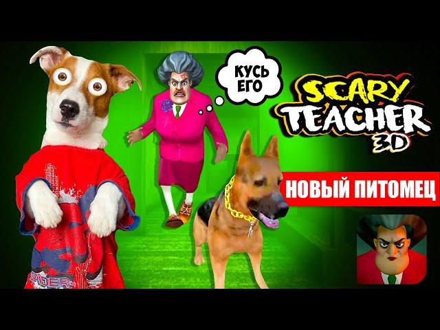 МИСС ТИ купила Собаку  Злая училка (Scary Teacher 3D) - новые Пранки