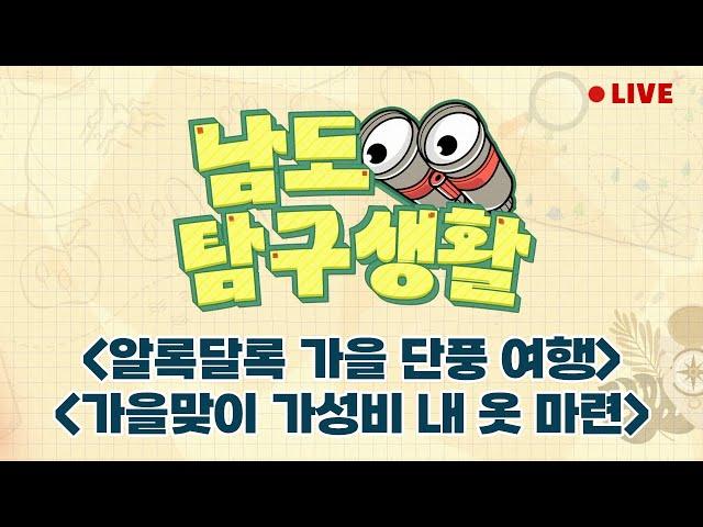 알록달록 가을 단풍 여행 | 가을을 맞아라 가성비 내 옷 마련 | 가을엔 분위기 UP 카페 [LIVE] 남도탐구생활 2024년 11월 14일