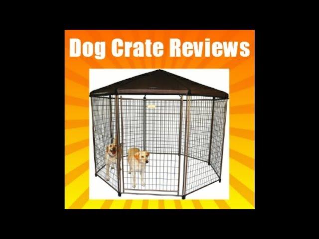  Dog Crate Reviews - Advantek Pet Gazebo Modular Outdoor Dog Kennel Review 