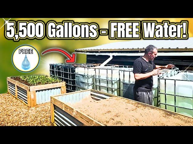 STOP Wasting Water! My Genius System Saves 5,500 Gallons!