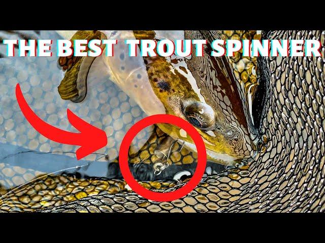 SPINNING FOR BEAUTIFUL LAKE TROUT! | Trout Fishing UK (4K)