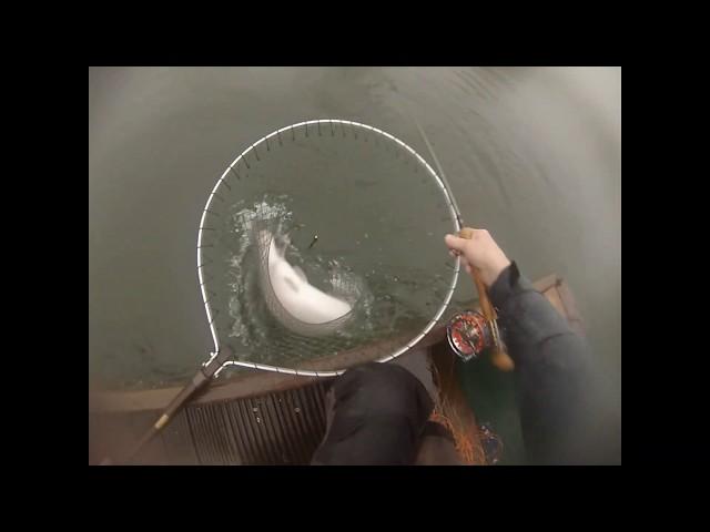 #6: Fishing Big Lures on Sinking lines at Lechlade with Martin Williams