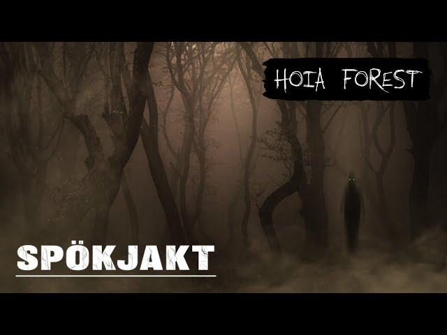 SPÖKJAKT | HOIA FOREST