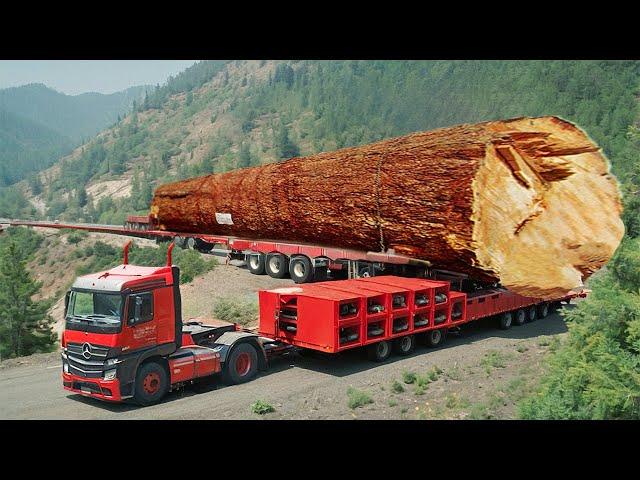 Dangerous Idiots Truck & Heavy Equipment Fails Compilation | Extreme Truck Idiots at Work #15