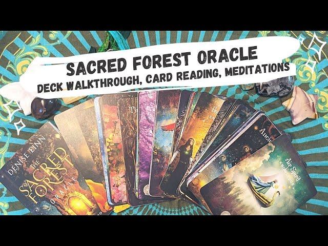 Sacred Forest Oracle by Denise Linn  Deck Walkthrough, Card Readings, and Bonus Meditations