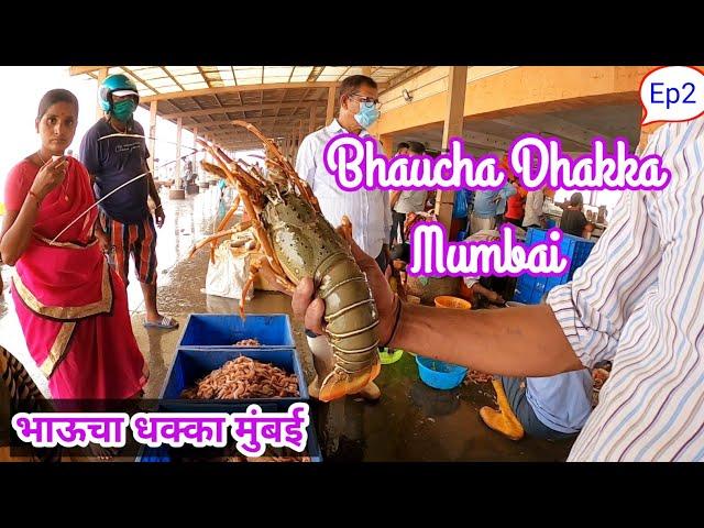 Bhaucha Dhakka | Ferry Wharf | Mumbai Biggest Fish Market | भाऊचा धक्का Oldest Fish Market in India