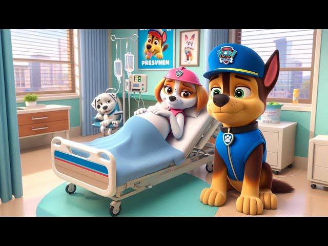 Paw Patrol The Mighty Movie | CHASE x SKYE Are In Hospital? What Happened!? - Rainbow 3