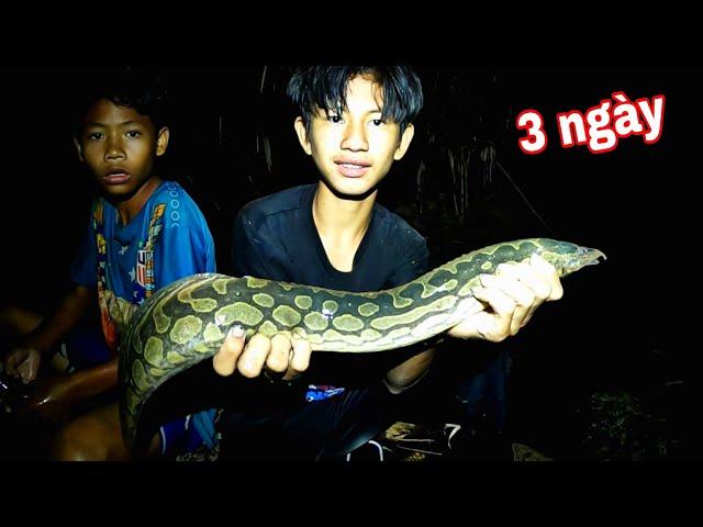 Suối Rừng RẤT NHIỀU Cá | 3 Ngày Đêm Ngủ Trong Rừng Bắt Cá Suối Mùa Khô