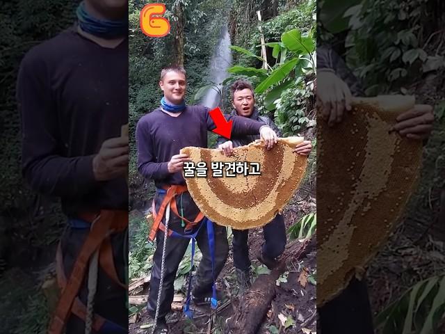 이 꿀은 먹지마세요