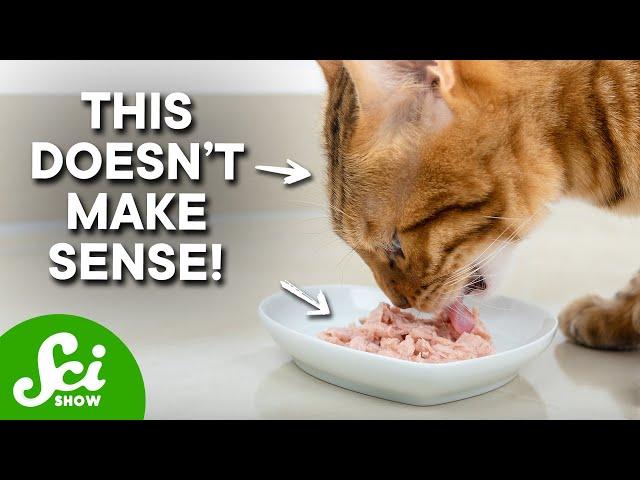 Cats Shouldn't Love Tuna (But They Do)