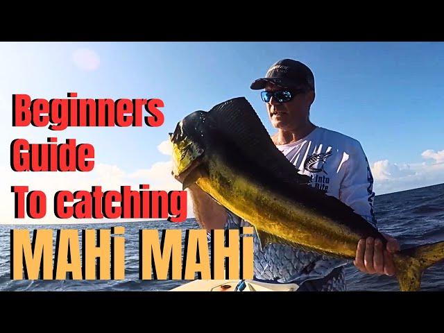 Beginners guide to catching MAHI