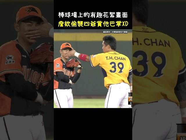 詹子賢這巴掌不講武德XDDD Funny scene at CPBL.  #CPBL #中華職棒 #Baseball #詹子賢 #陳傑憲