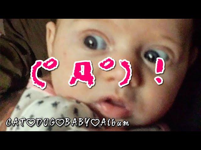 【赤ちゃんおもしろハプニング】可愛い赤ちゃんびっくり動画集②