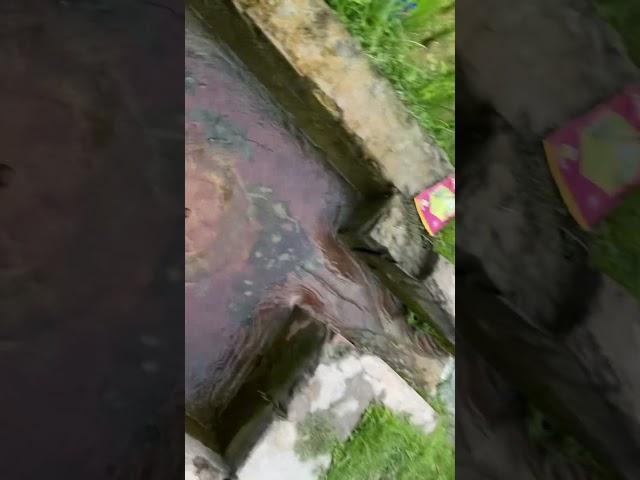 #villagelife #simplelife #vlog #views #viralvideo #eid #vacation