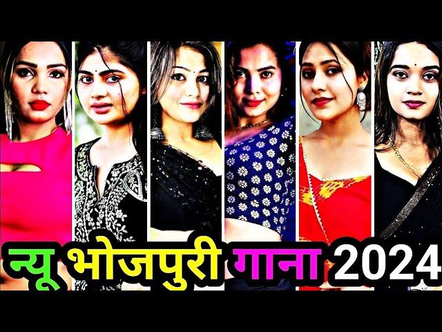 न्यू भोजपुरी गाना 2024 | bhojpuri tik tok | bhojpuri song | bhojpuri reels | bhojpuri video #video