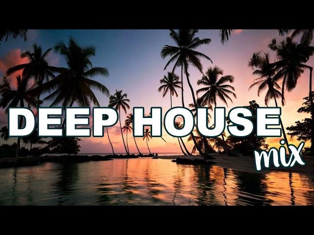 Deep House & Chill Techno Vibes 2024  Progressive House - DJ SONGS - PARTY SONGS