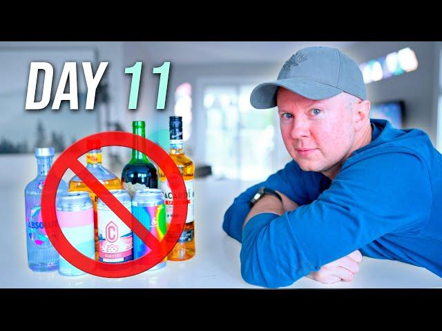 Quitting Alcohol for 31 Days - DAY 11 - Tired & Bored, Yet Hopeful!