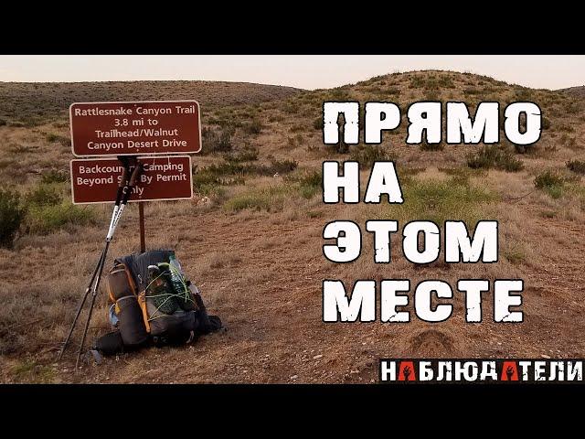 А что бы Вы сделали?