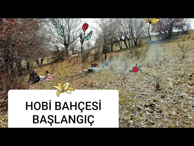 HOBİ BAHÇESİ|Bahçe işleri|Ağaç budama |bahçe düzenleme #bahçe #ağaçbudama #hobi