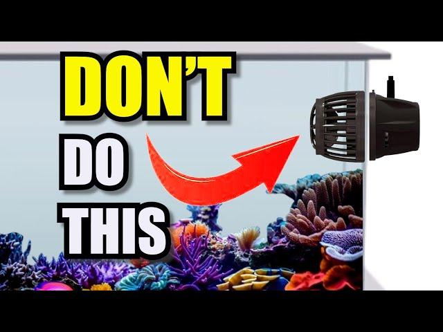 10 Expert Tips to Optimize Water Circulation in Your Reef Tank