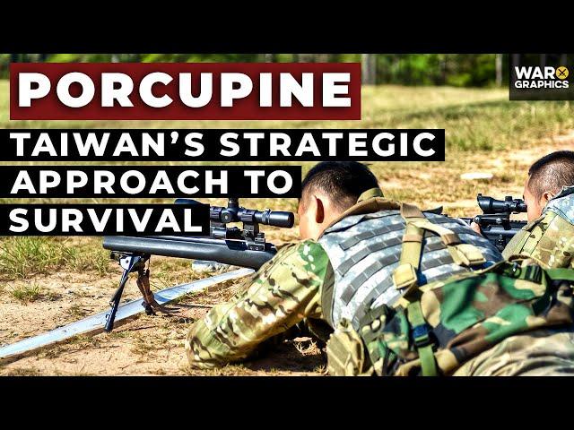 Porcupine: Taiwan’s Strategic Approach to Survival