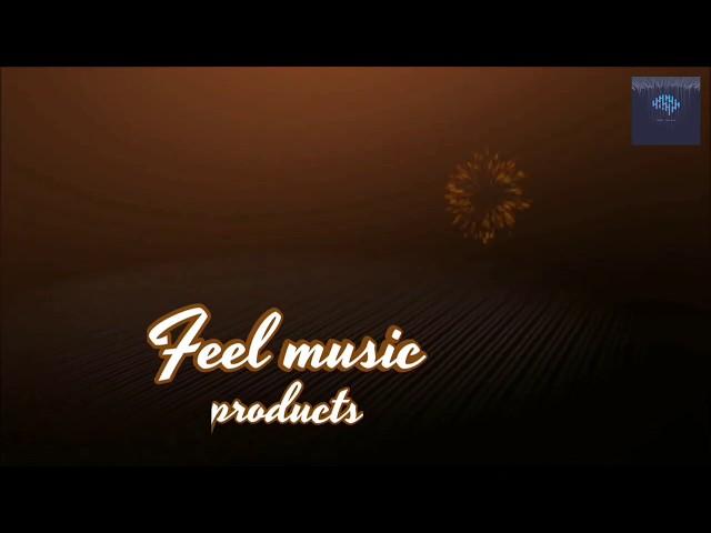 Welcome to feel music!!! Deephouselovers, summer mix 2020, house music,house, love (by FM)